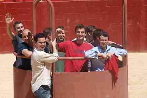 Bullfighting Bull experience