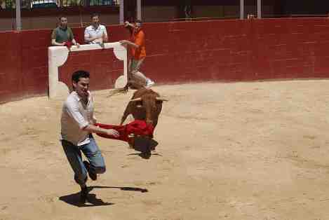 Baby bull run Madrid