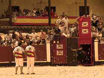 STAGPARTY MADRID BULL