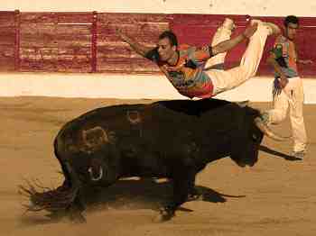 RECORTES Bullfighting experience MADRID